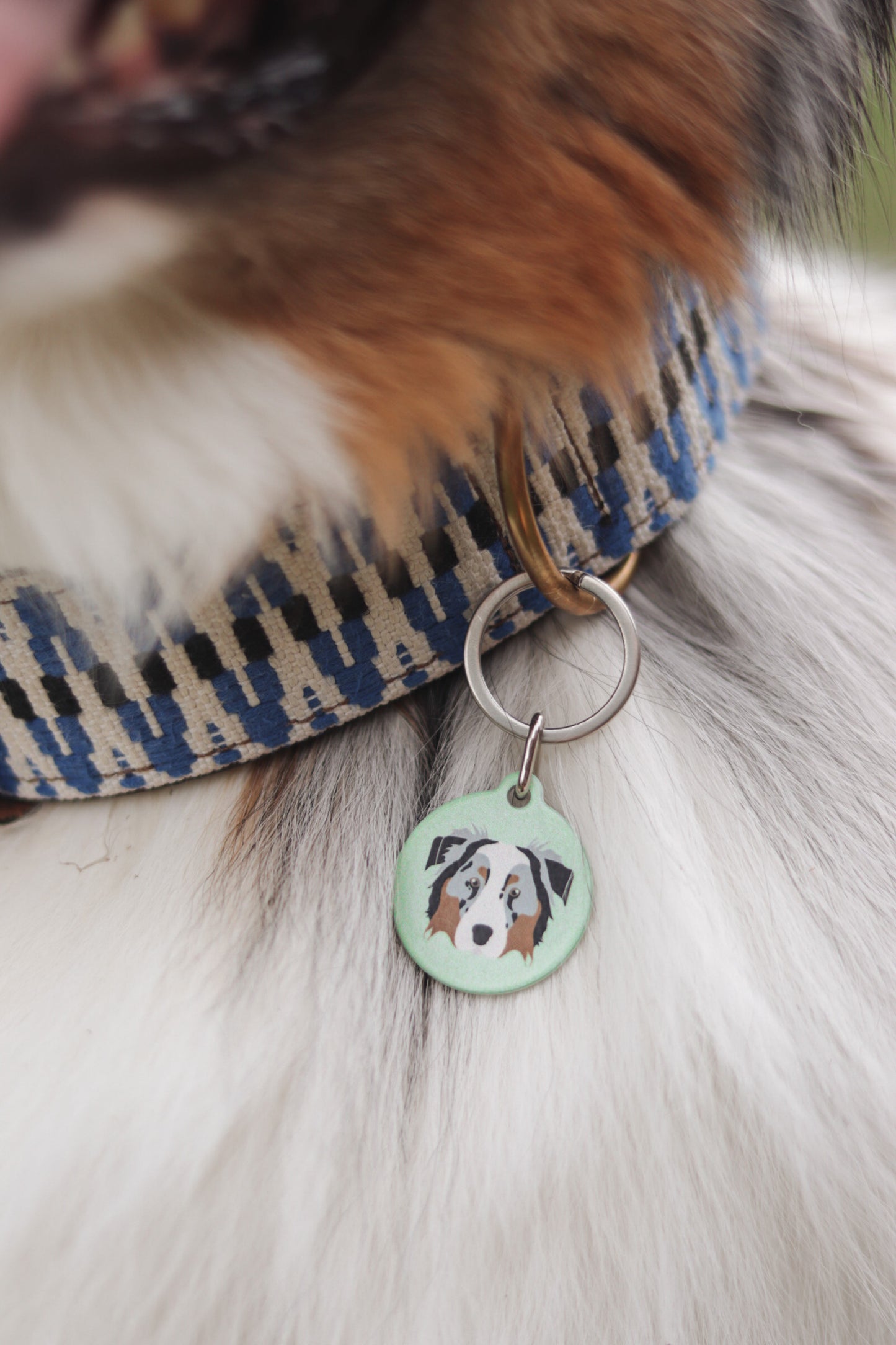 Cute custom Australian Shepherd dog tag, available in all aussie colours red merle, blue merle, black tri, red tri. Stiltontheaussie