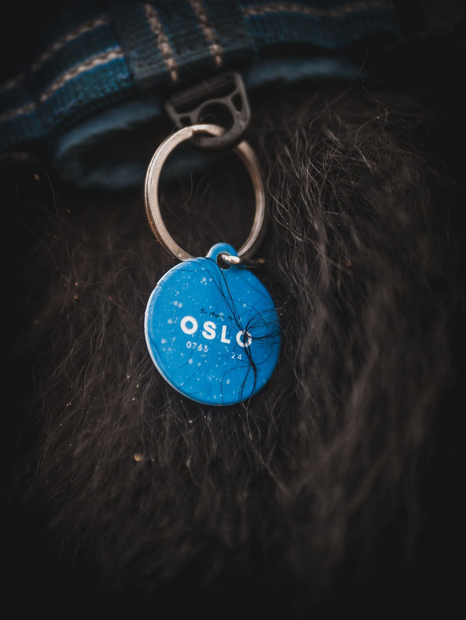 adorable custom dog tag to match your dog's favorite dog collar!